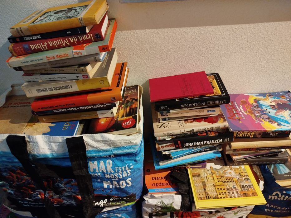 Lote de 505 livros
