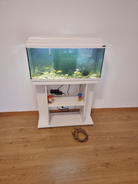 Vendo aquário com filtro