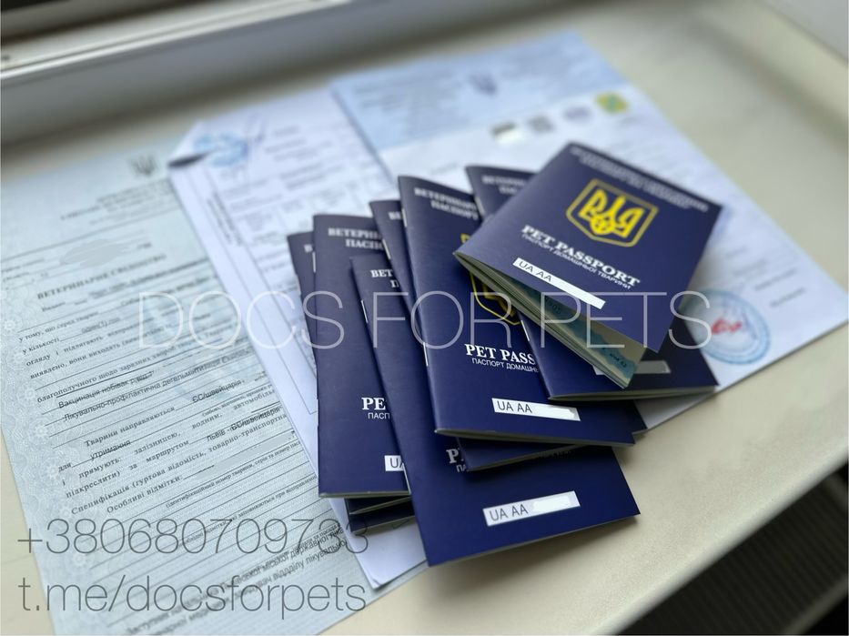 Паспорт для кота собаки документи для тварин титр чіп сертифікат Ф-1