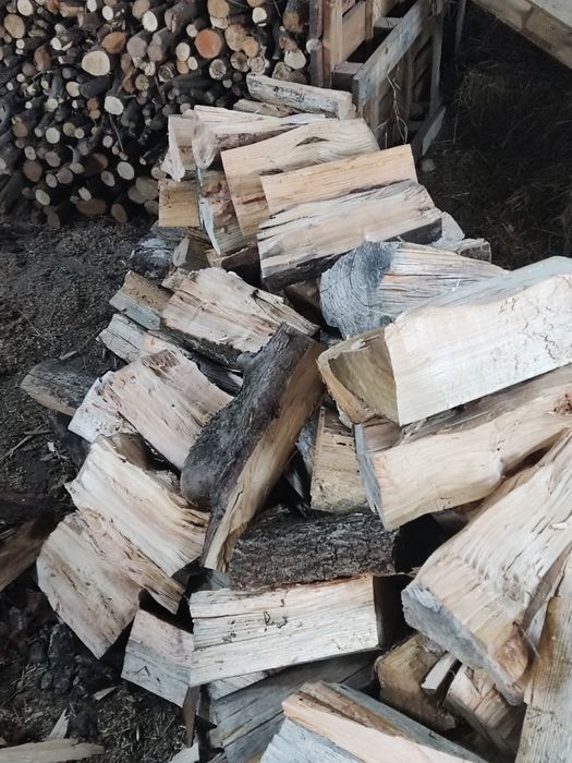 Vende se  lenha bem seca