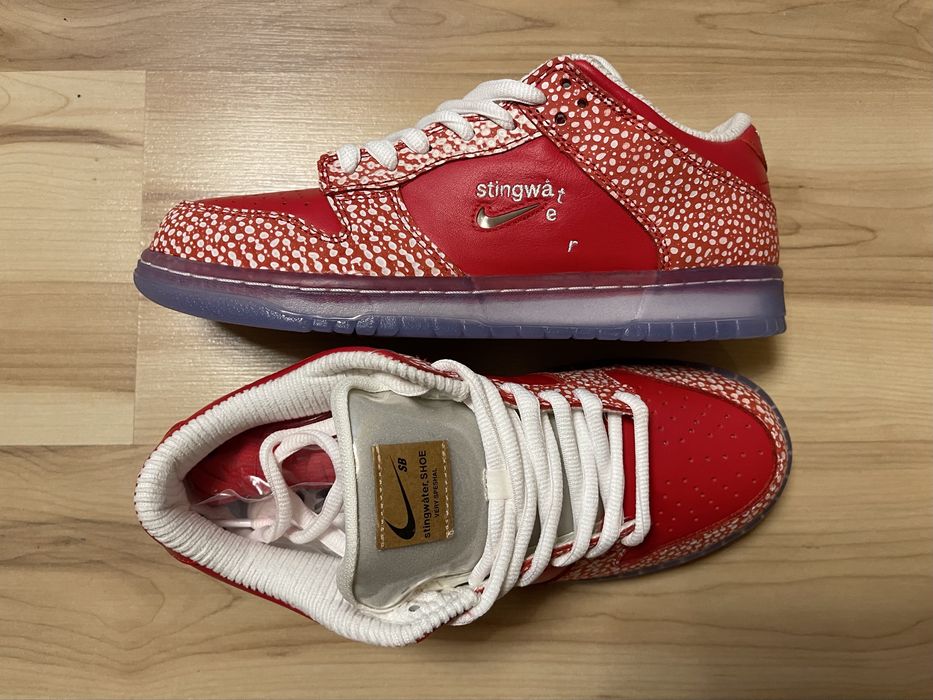 Nike Dunk SB Stingwater