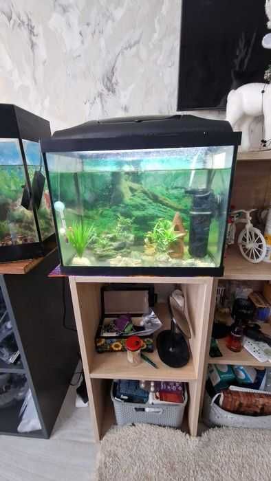 Акваріум приблизно 40 літрів