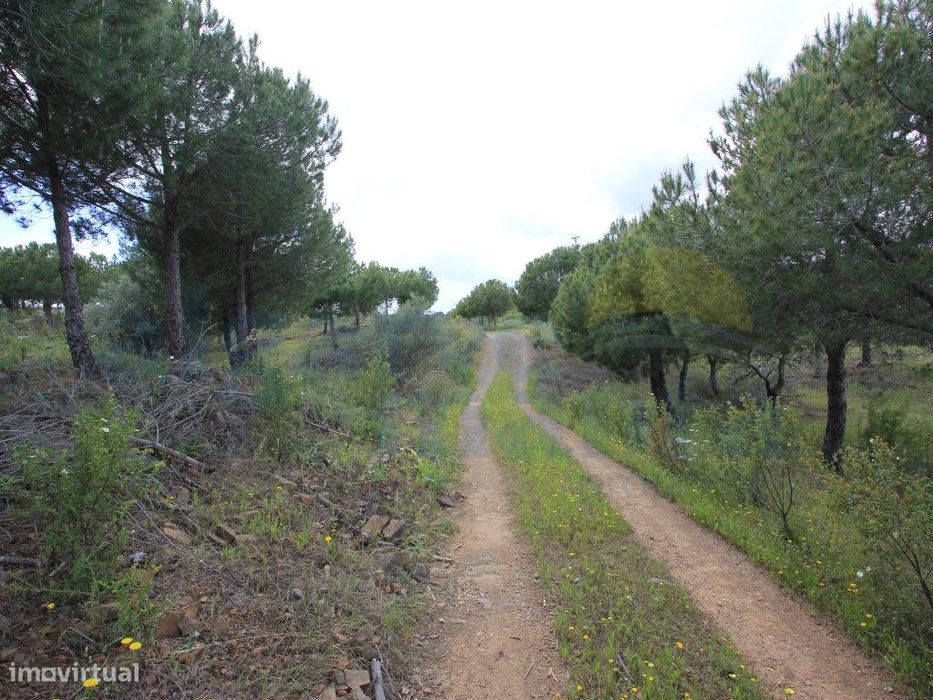 Terreno Rústico com 6.4 hectares no Azinhal, Castro Marim!