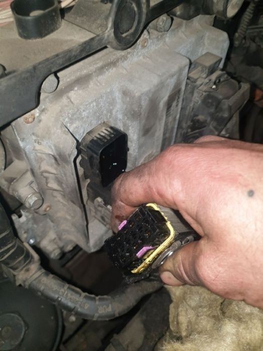 Diagnostyka Komputerowa Samochodów Ciężarowych Tir Autobus Bus Poznań