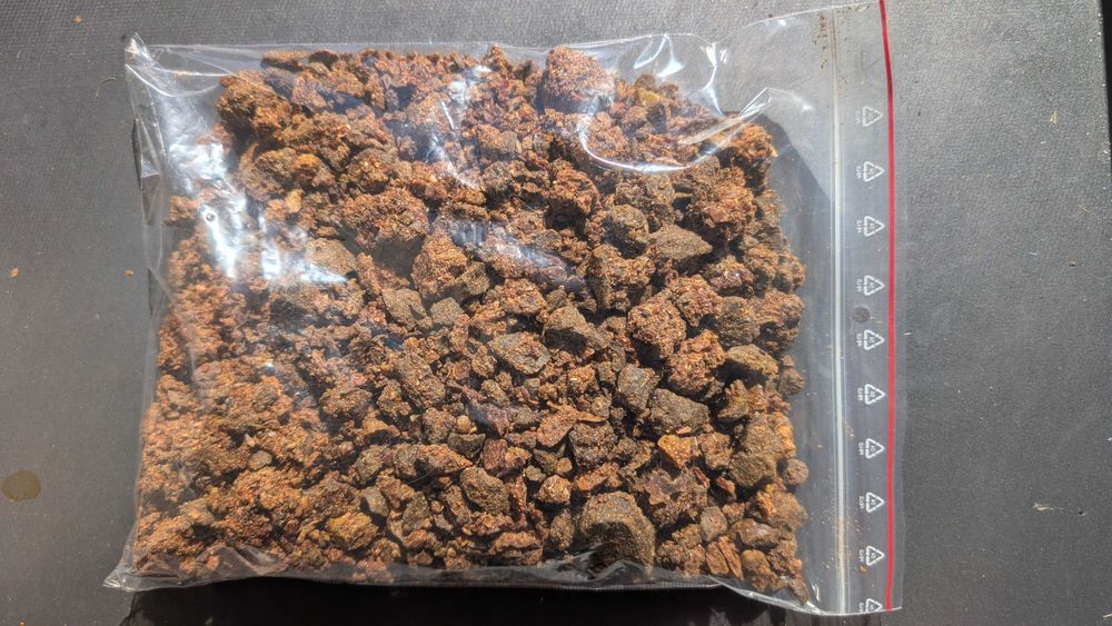 Propolis - kit pszczeli (200 gramów - 75 zł)