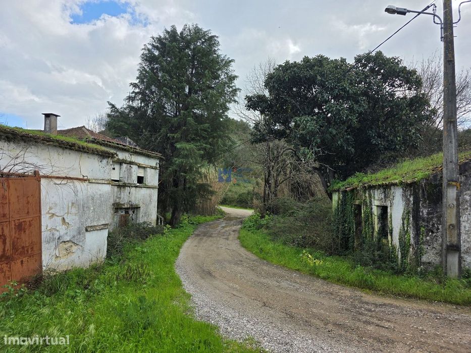 Misto de terrenos urbanos e rústicos na Zibreira, Torres Novas.