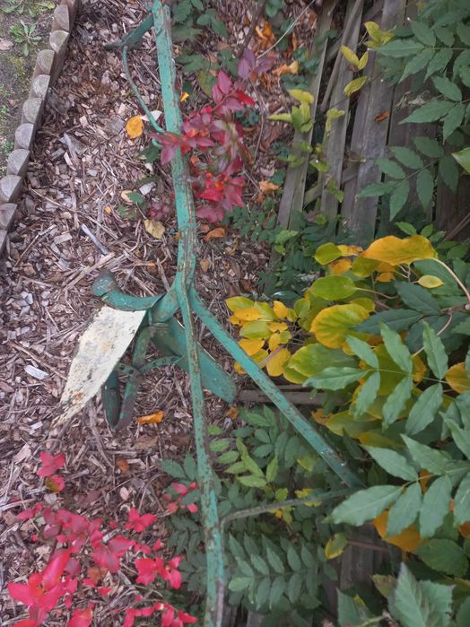 Okazja sprzedam płużek