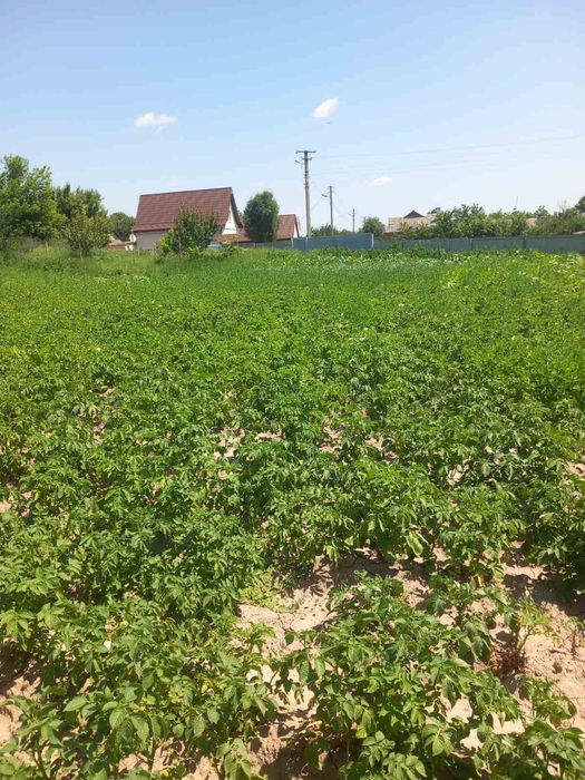 Продам земельну ділянку