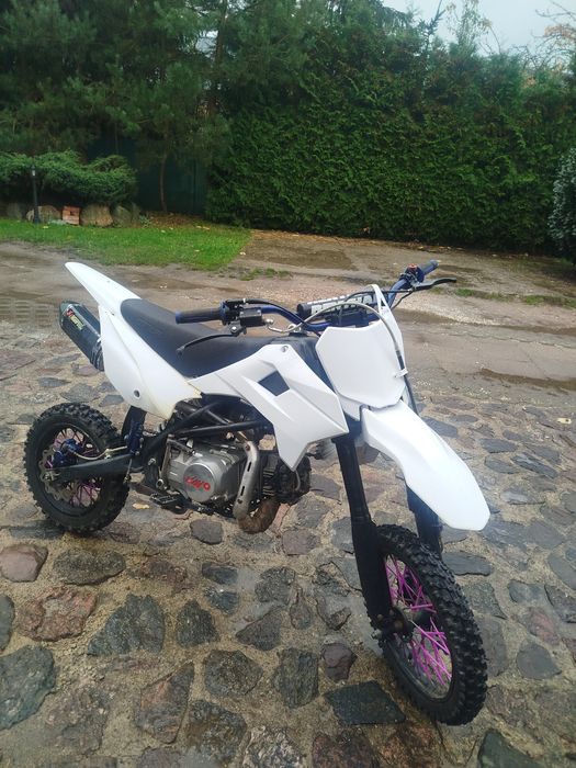 Mrf