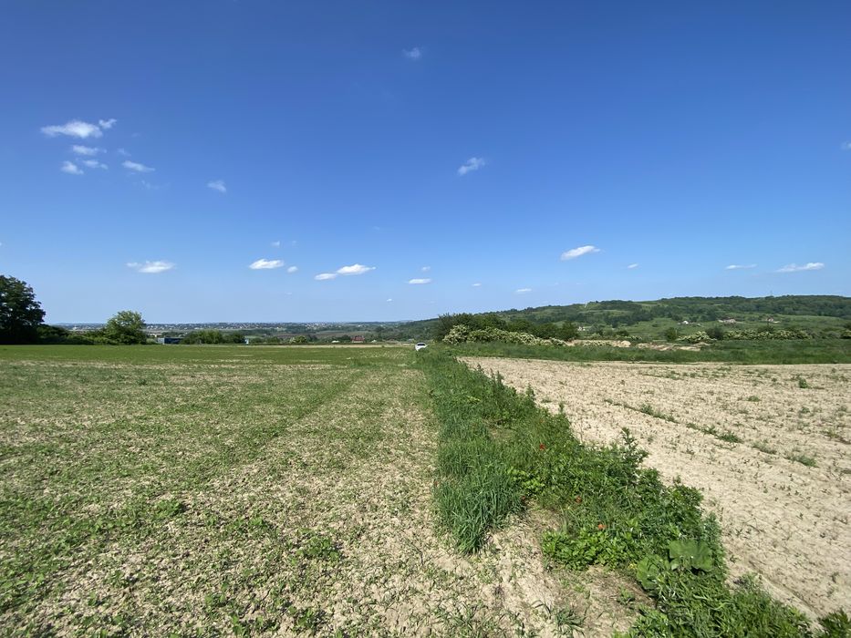 Топова земля, перша лінія, 50соток +