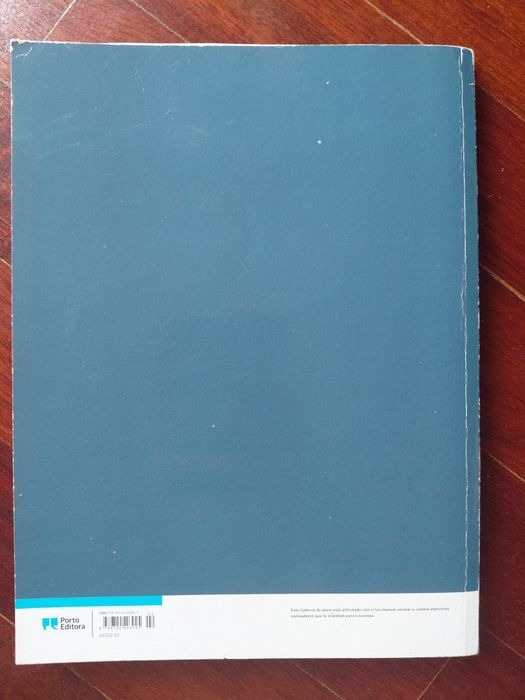 Caderno do aluno - Letras em dia - Português - 11.° ano