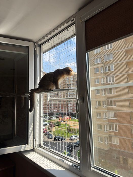 Навесная полка к Решетки Антикошка