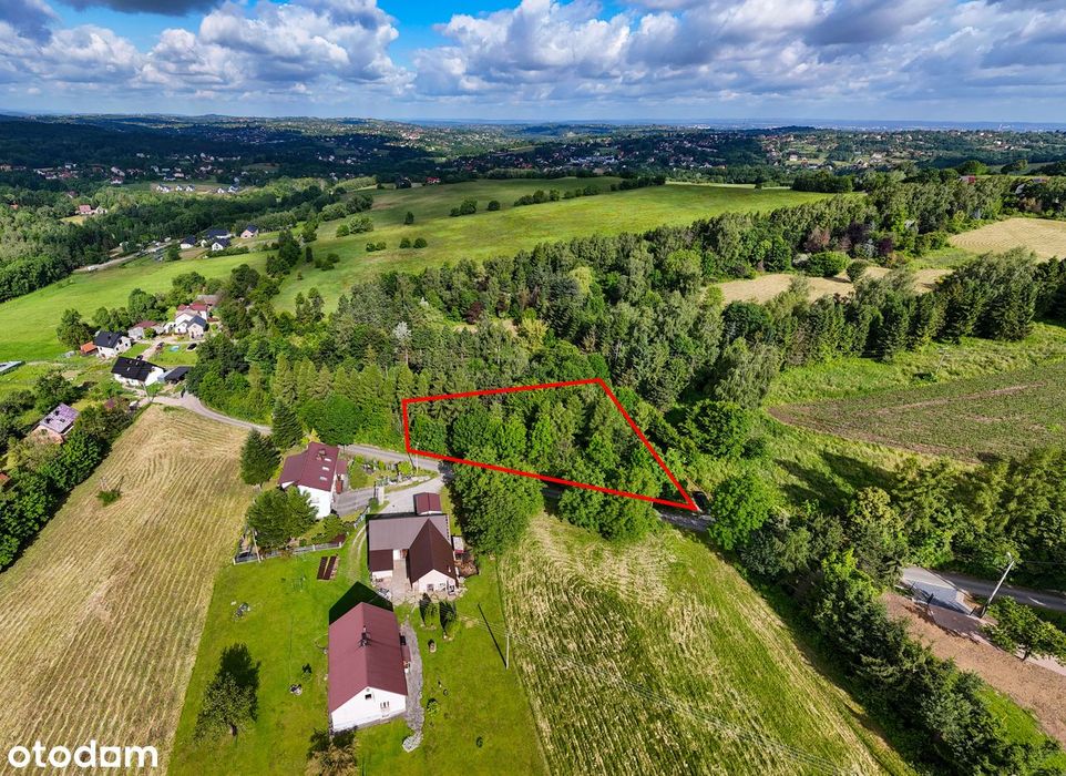 Działka budowlana 17,1a | południowy stok - Widok 4