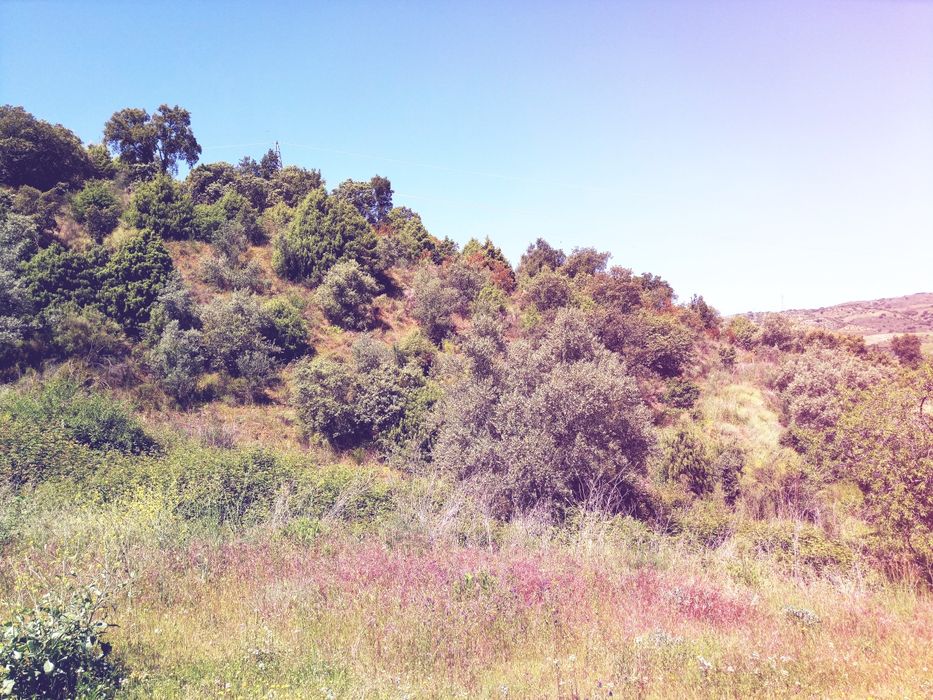 Quintinha com 3,2Ha - permuto