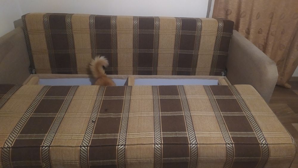 Диван в гарному робочому стані