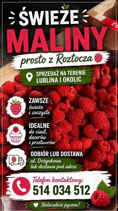 owoce maliny na soki i przetwory malina owoc
