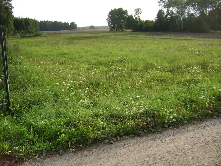 Działka rolna/siedliskowa Rafałówka z warunkami zabudowy