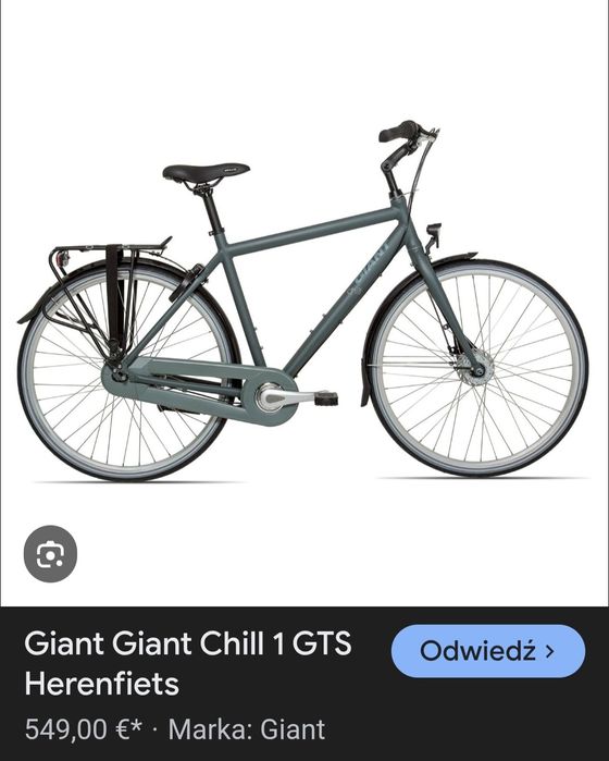 Giant  chill holenderski