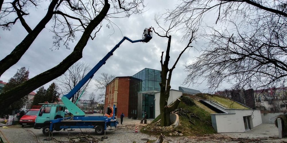 Koszenie traw Wycinka drzew   Mielenie gałęzi