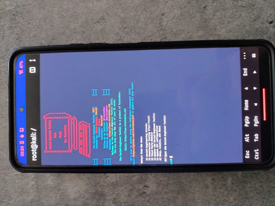 Xiaomi Poco F3 6/128 GB Kali Nethunter