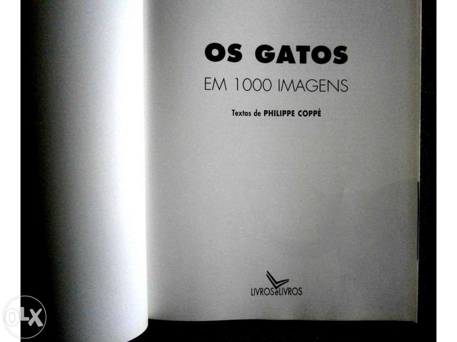 Os Gatos Em 1000 Imagens