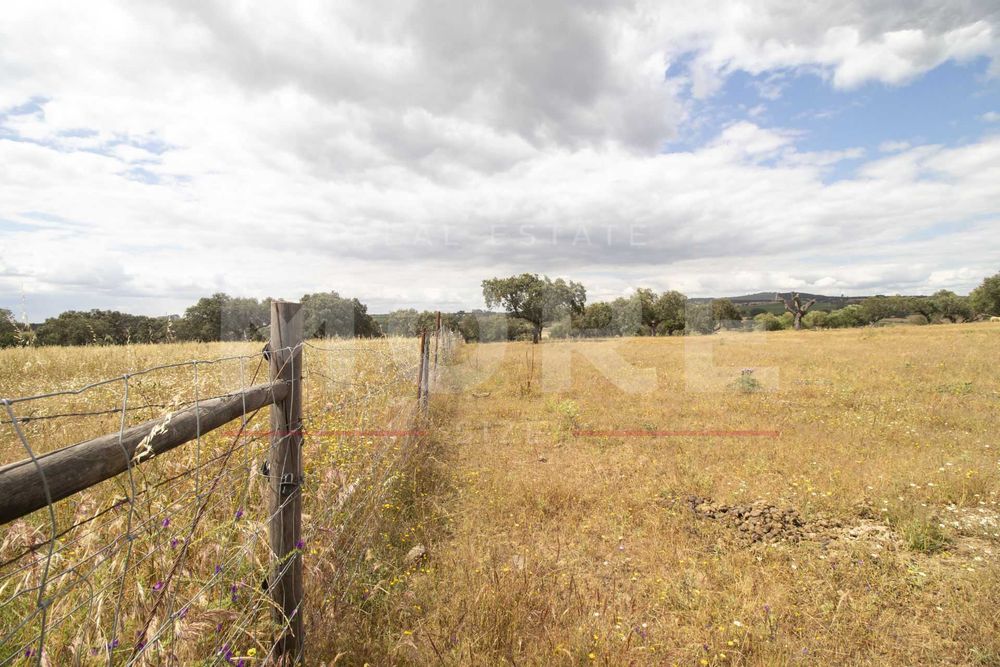 Herdade em Alvito - a 50 min Alqueva