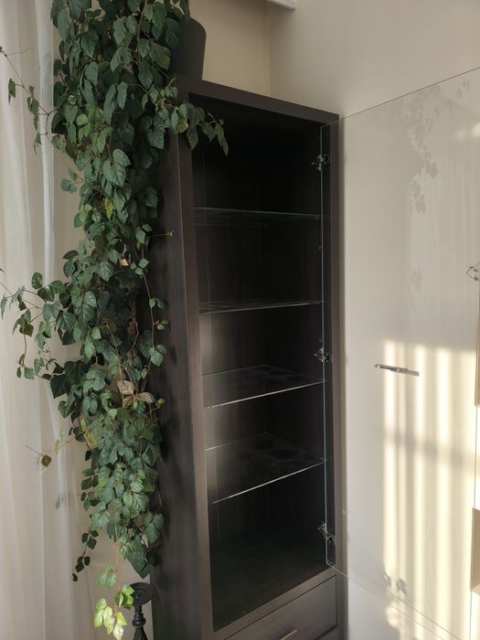 Meble witryn do salonu