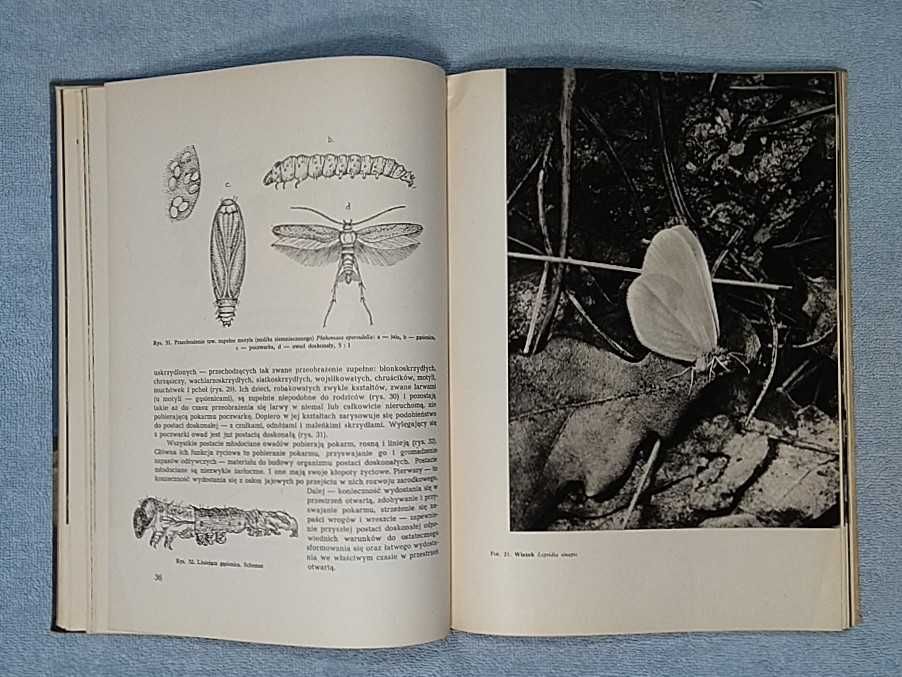 Dzieci słońca i dzieci mroku 1957 Jan Jerzy Karpiński