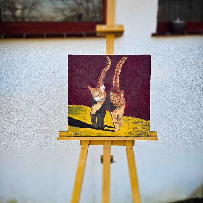 Dwa rude koty – obraz olejny na płótnie  – 40 x 40 cm