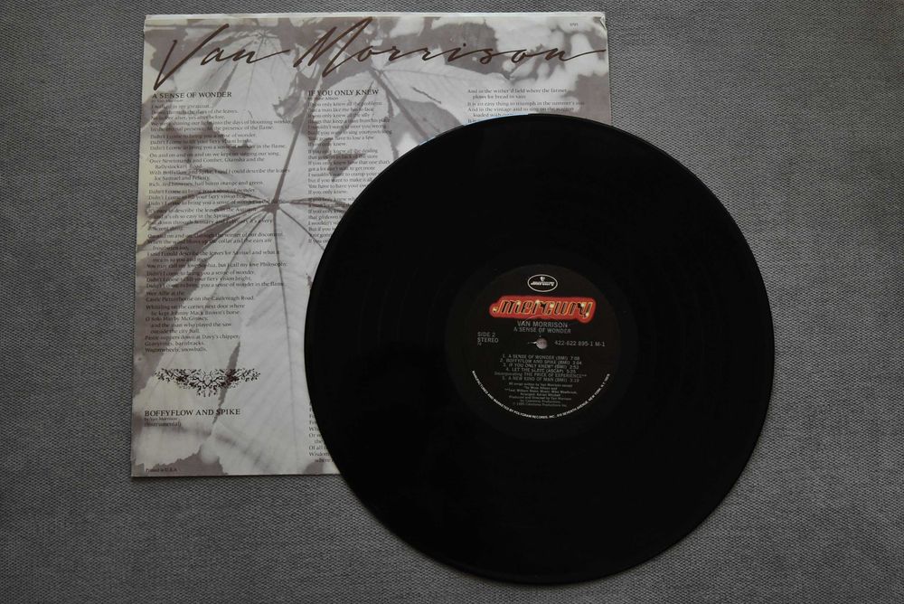 Van Morrison A Sense Of Wonder Winyl