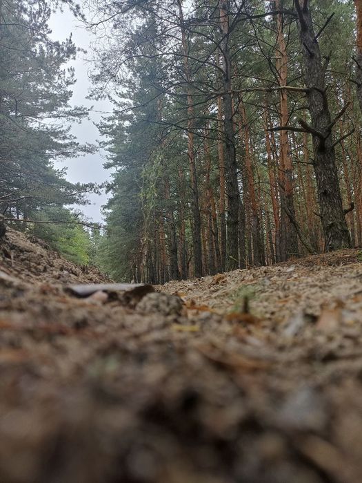 Аренда дома(дачі) зі всіма зручностями (з лазнею) подобово та довгостр