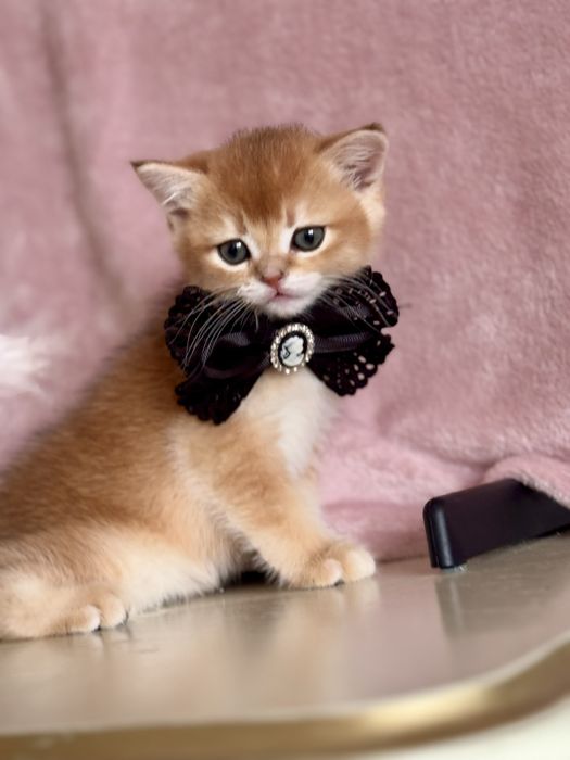 Все найкраще закладено в цих дітках.