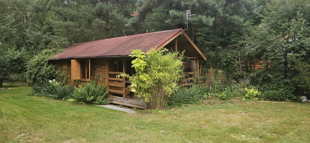Działka rolna 1000m - Widok 3