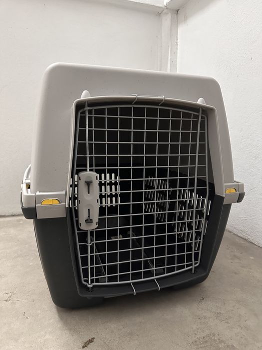 Caixa transporte Animais