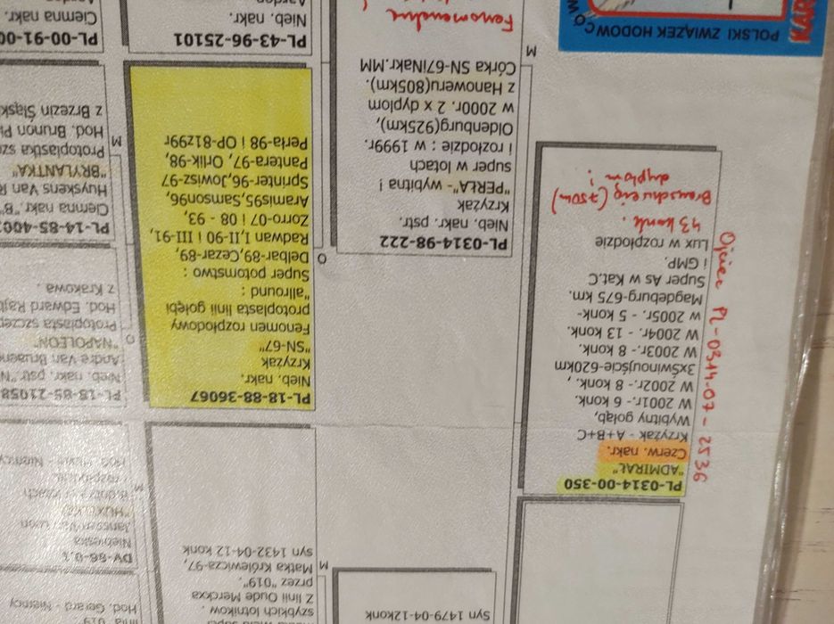 golebie pocztowe mlode 25 rok OKAZJA