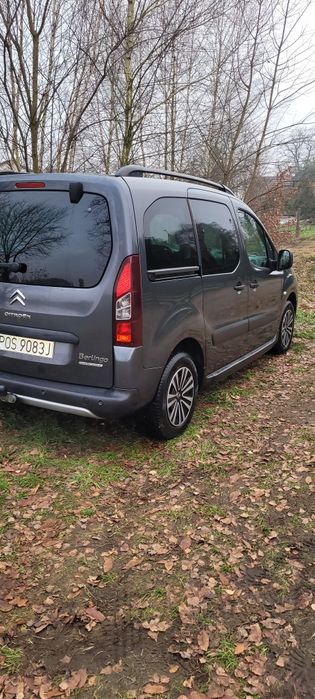 Citroen berlingo