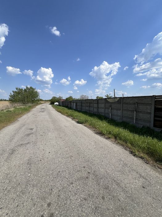 Ферма для утримання свиней діюча