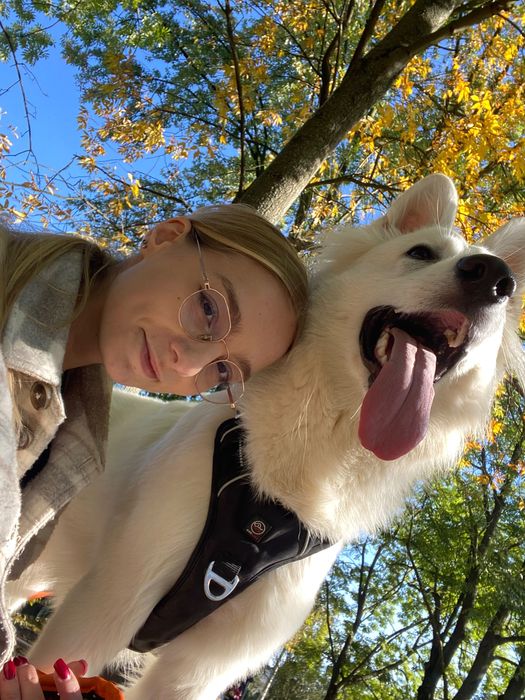 Trening psów Kraków