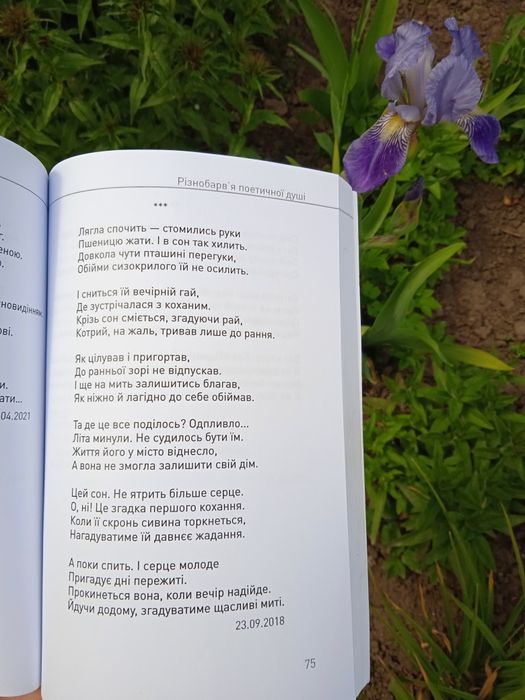 Збірка віршів "Різнобарв'я поетичної душі"