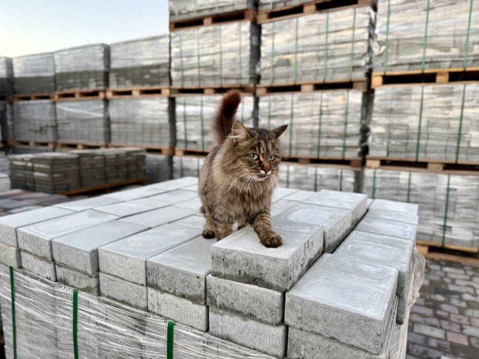 Розпродаж Бруківка Тротуарна плитка Дубровиця Володимирець Сарни