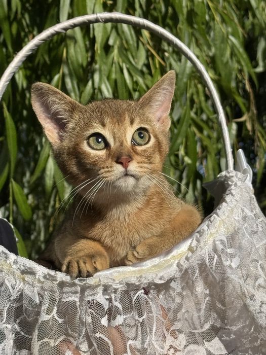 Малюк чекає на люблячу матусю