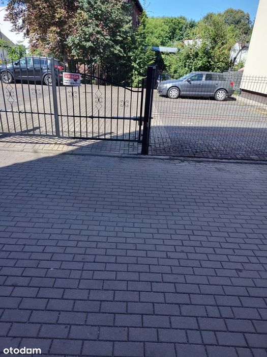 Zdjęcie 6