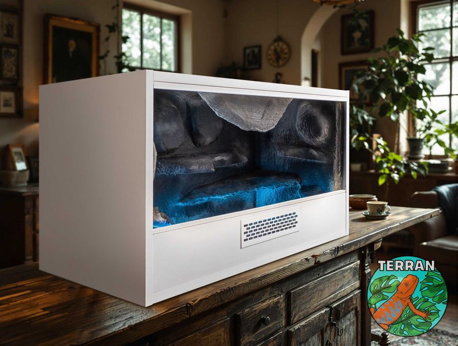 Terrarium 80x40x40cm Agama Gekon wąż zbożowy heterodon