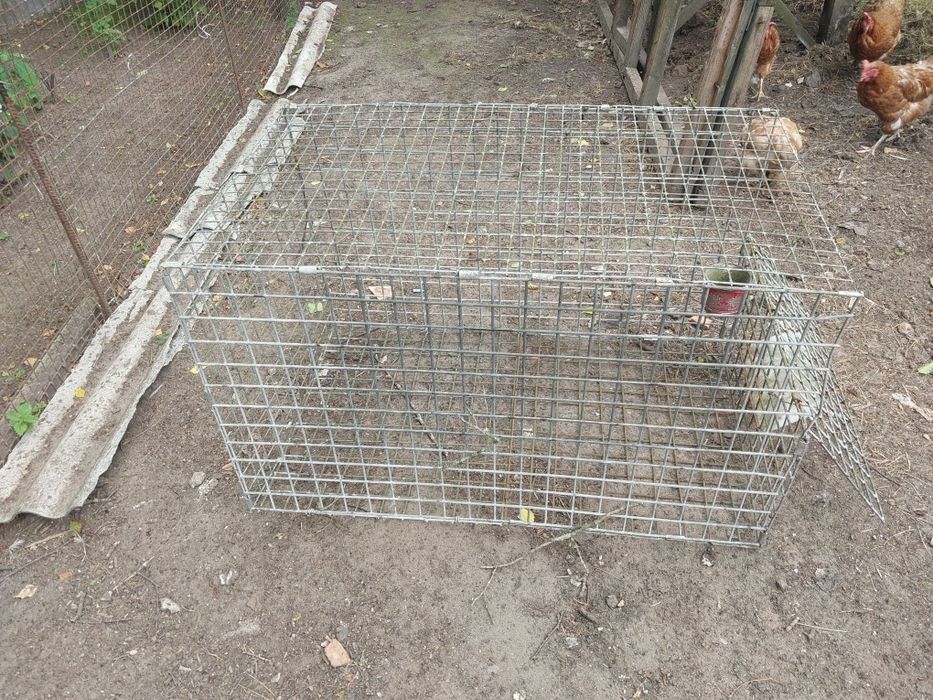 Klatki po lisie okolo100cm na 60