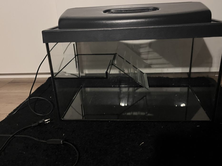 Akwarium dla zołw i ryb