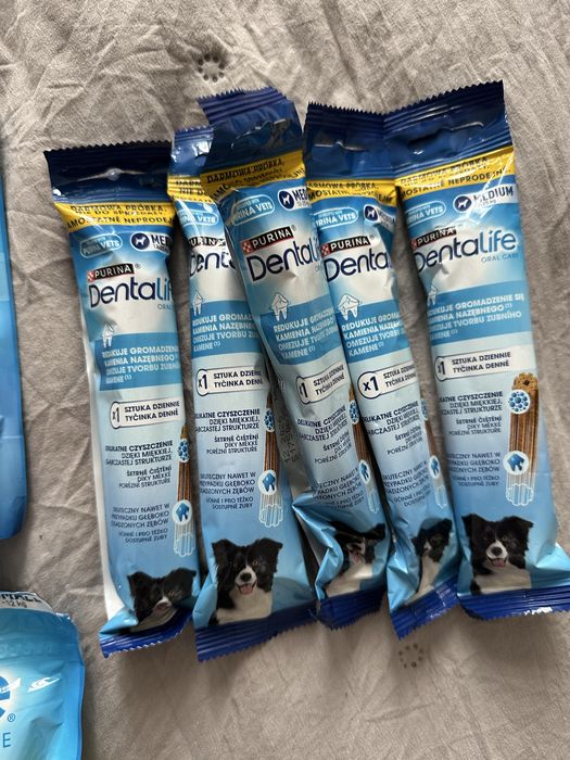 Purina Dentalife zastaw przekąski dla psa
