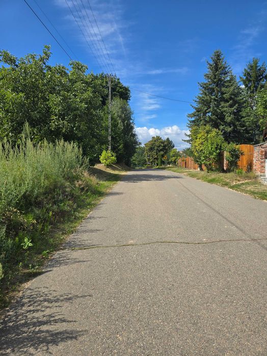 Działka zagrodowa - rolna z lasem 13km od Kazimierza Dolnego - Widok 2