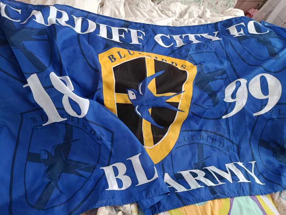 Flaga Cardiff City F.C. chusta