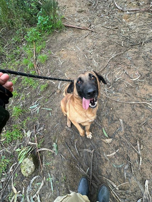 Principe ainda sem reino , triste a minha sina.