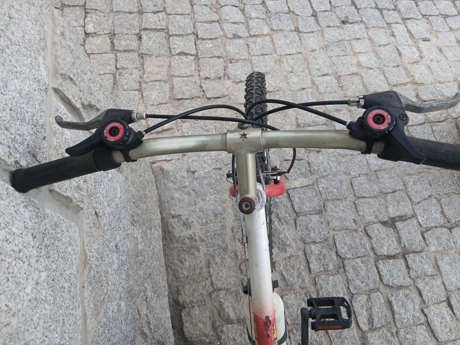 Bicicleta roda 24